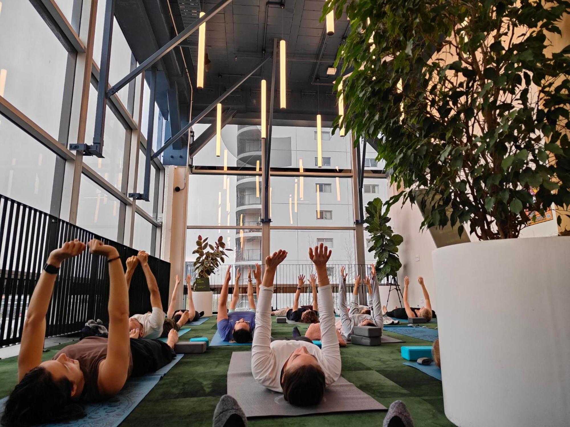 Lylo Auckland Hotel Exteriér fotografie A yoga class at the Googleplex
